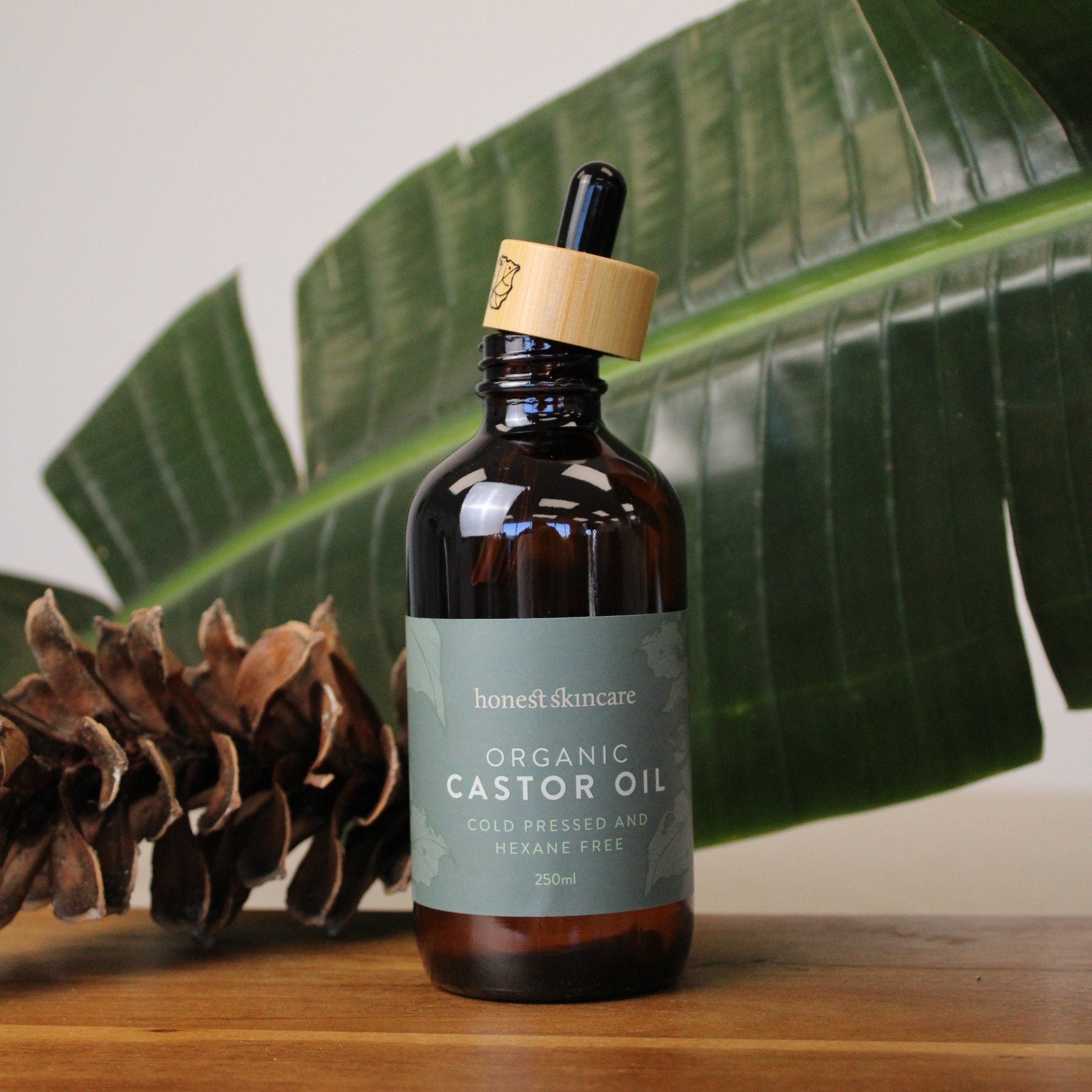 Bottle of organic castor oil on a leaf with a pine cone