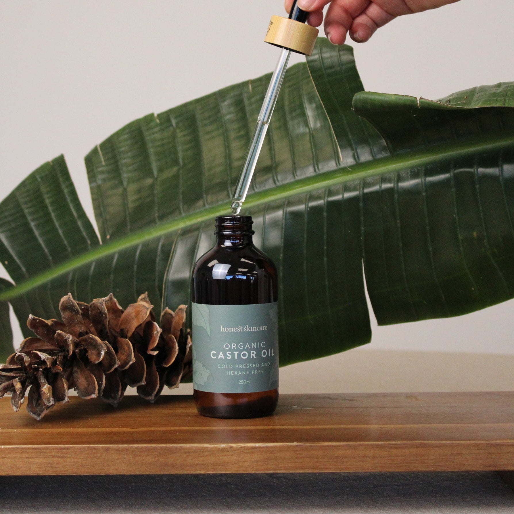 Castor Oil - Certified Organic - Cold Pressed - Hexane Free (Glass Bottles)