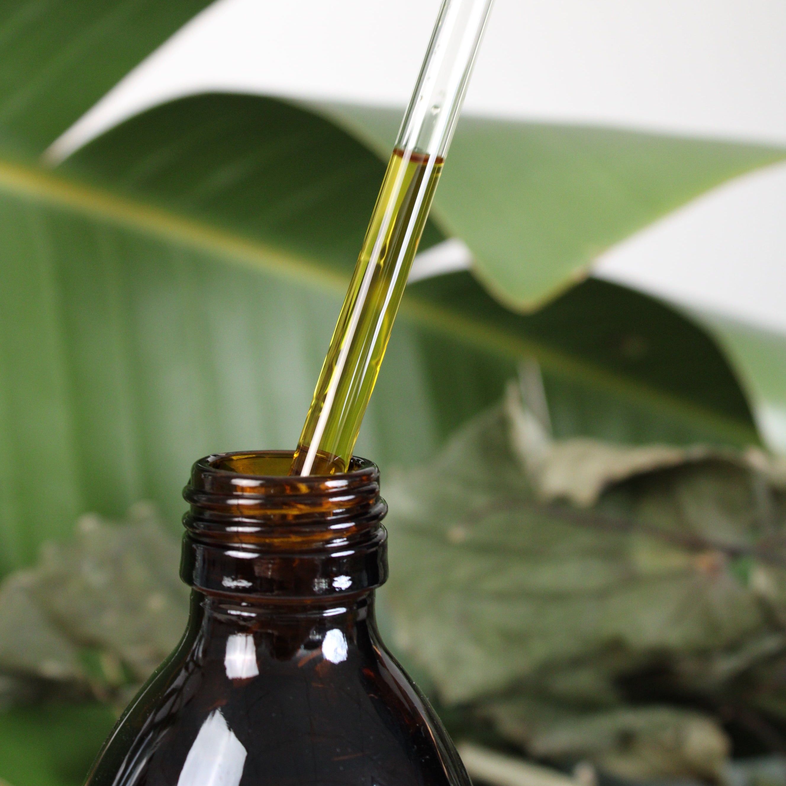 Bottle of Kawakawa infused Jojoba Oil 250ml with dropper 0 oil with dropper being used on a white surface with green leaves in the background