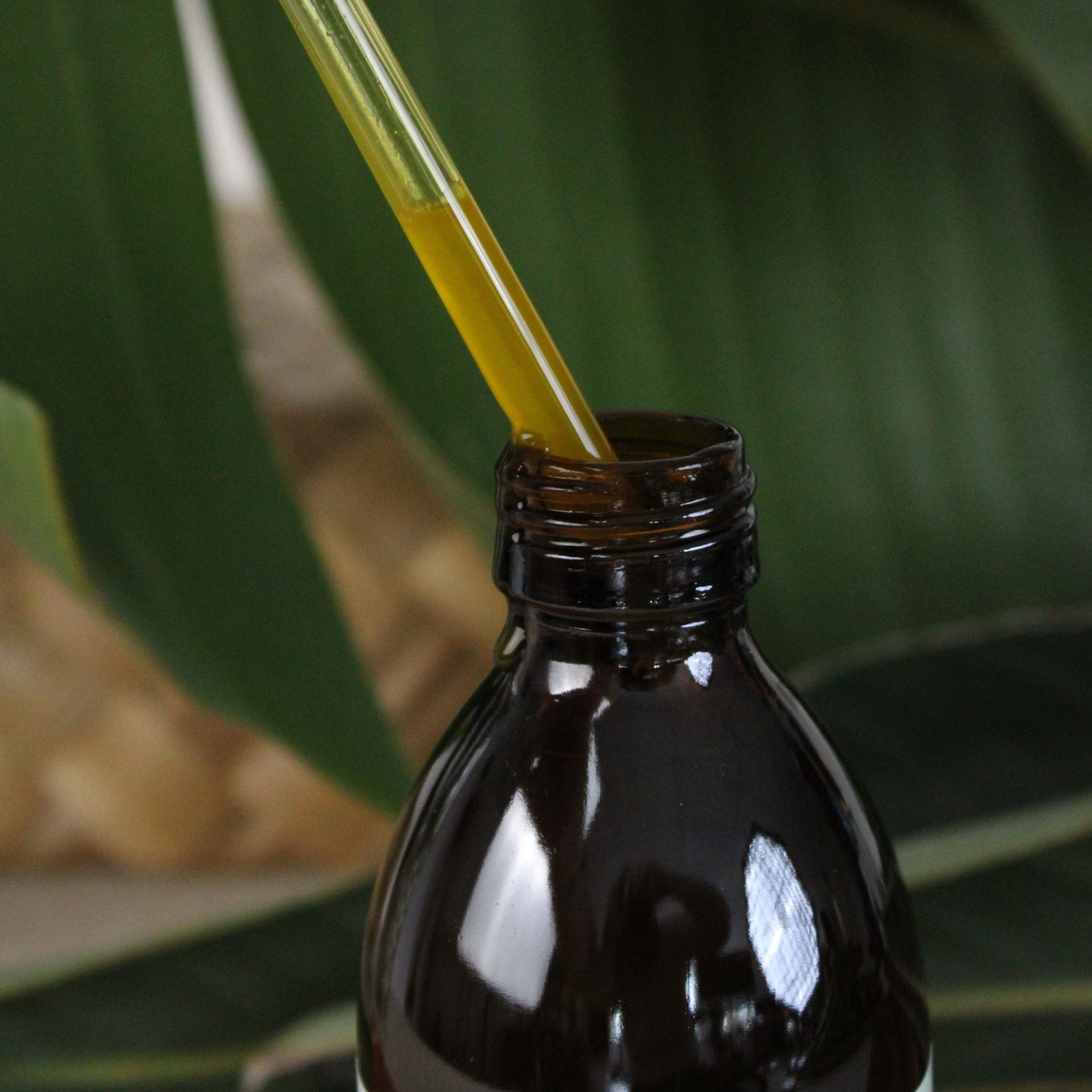 Brown glass bottle with a dropper being filled with honest skincare organic avocado oil against a green leafy background