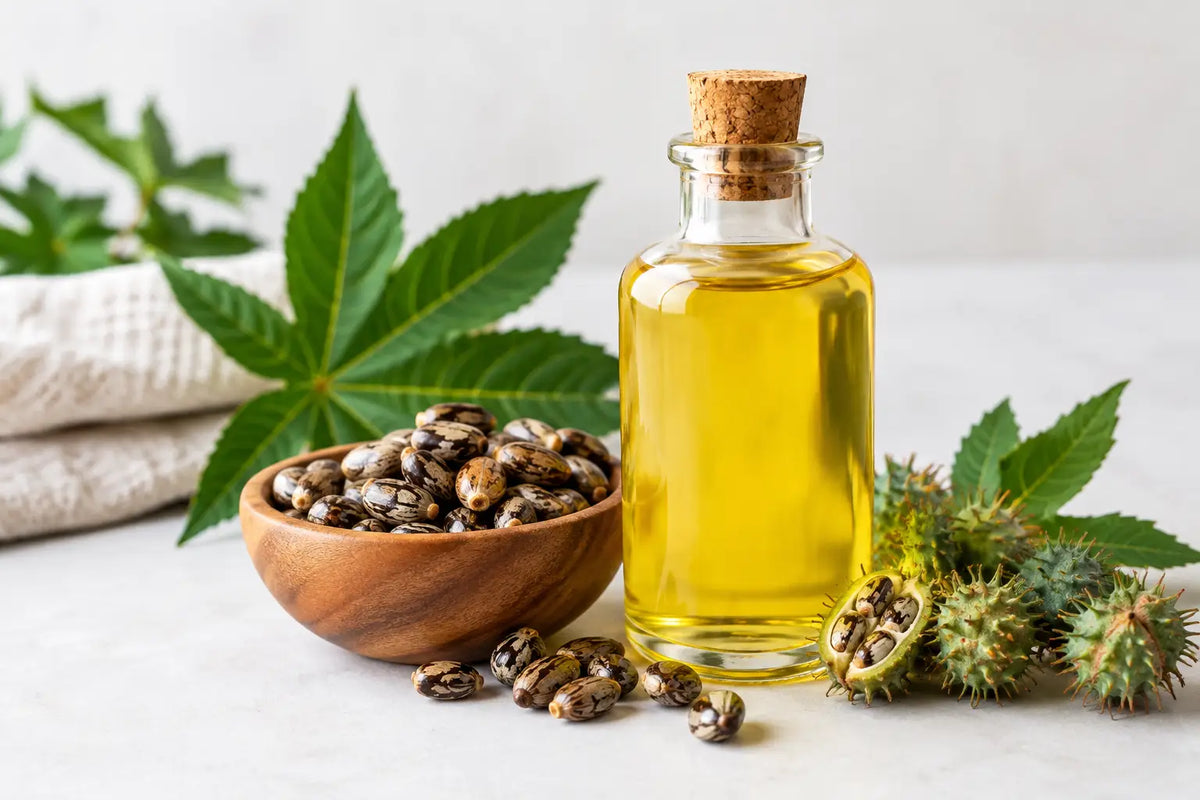 Organic Castor Oil Buying Guide for Everyday Use