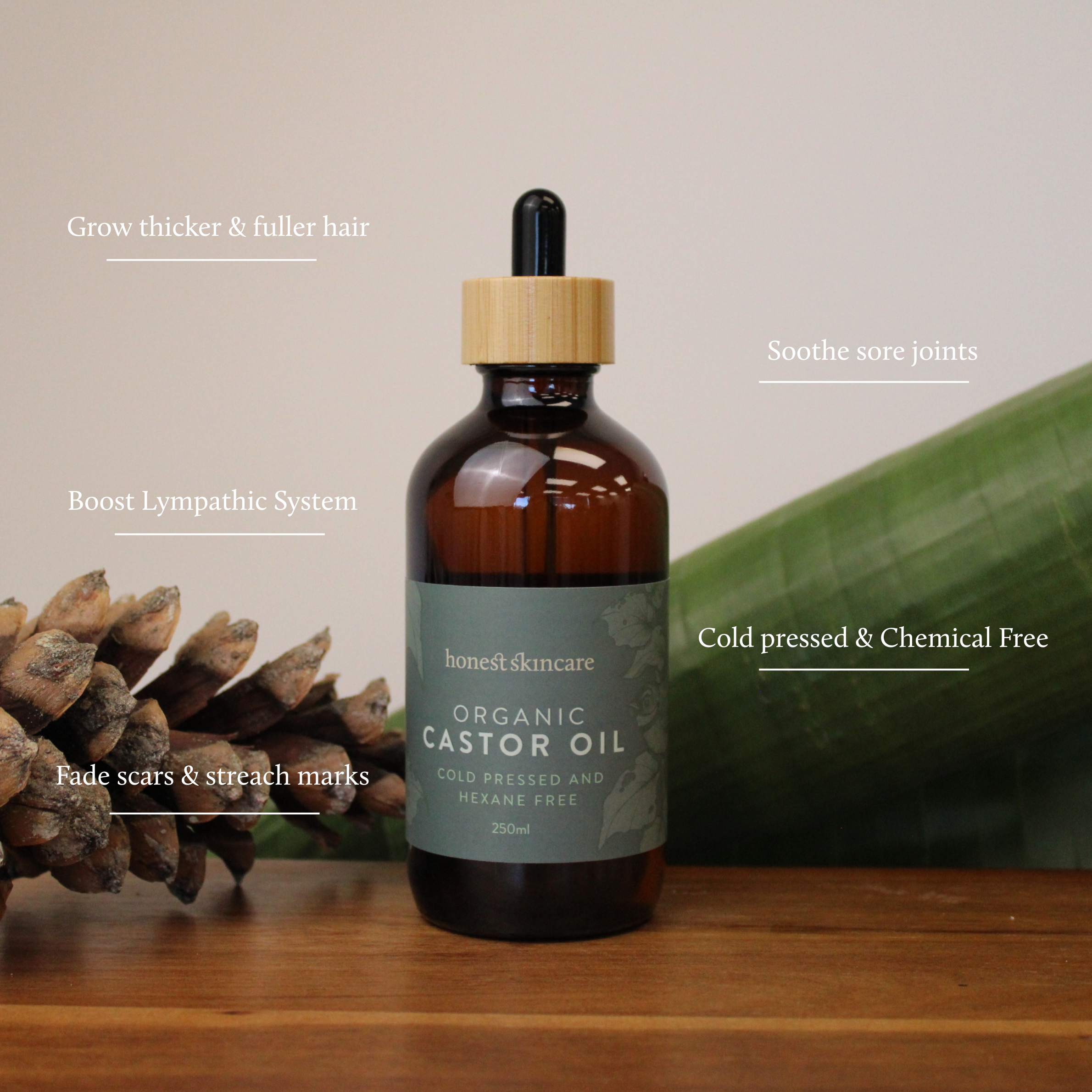 Castor Oil - Certified Organic - Cold Pressed - Hexane Free (Glass Bottles)