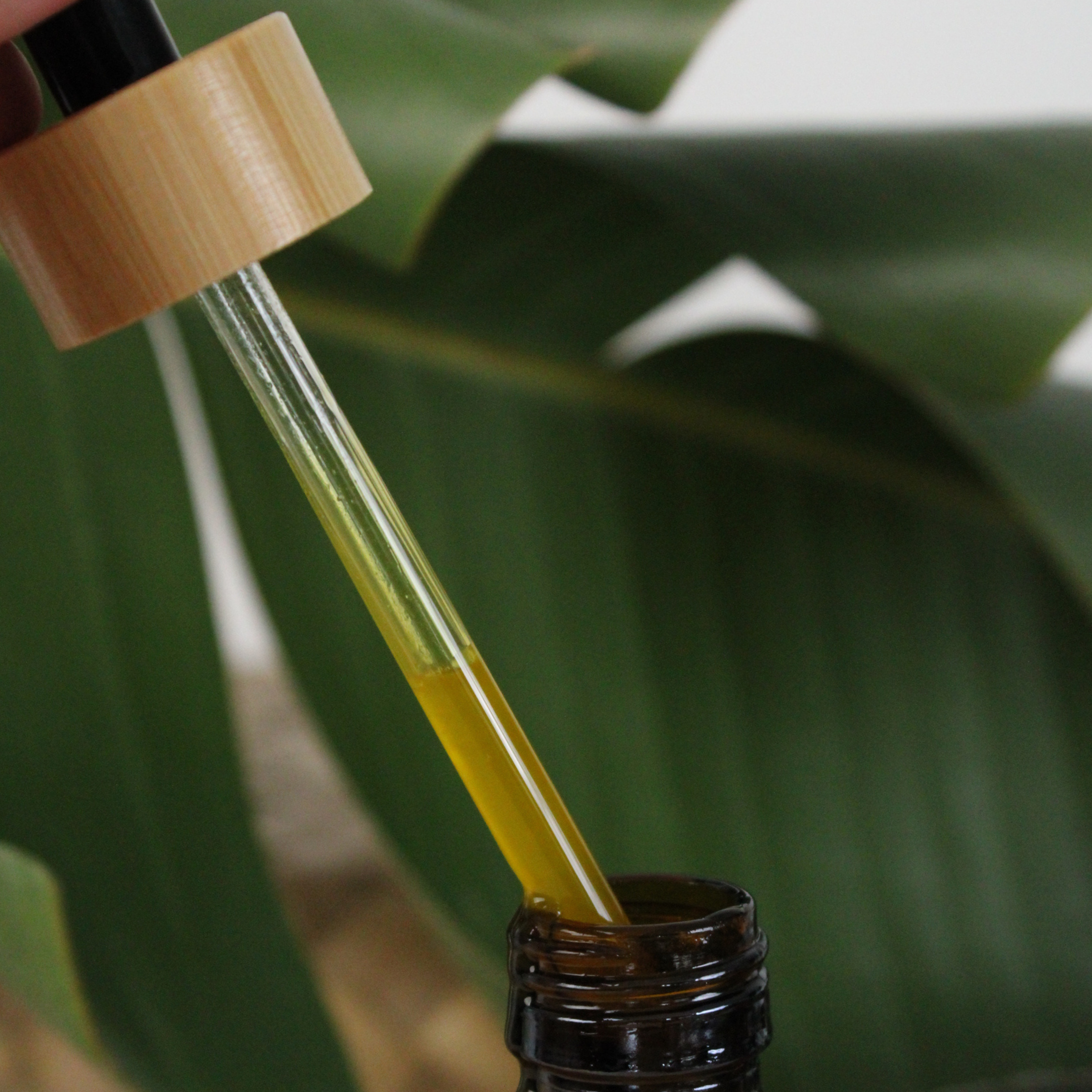Close-up of a dropper with 'honest skincare organic avocado oil liquid over a dark bottle against a green leafy background