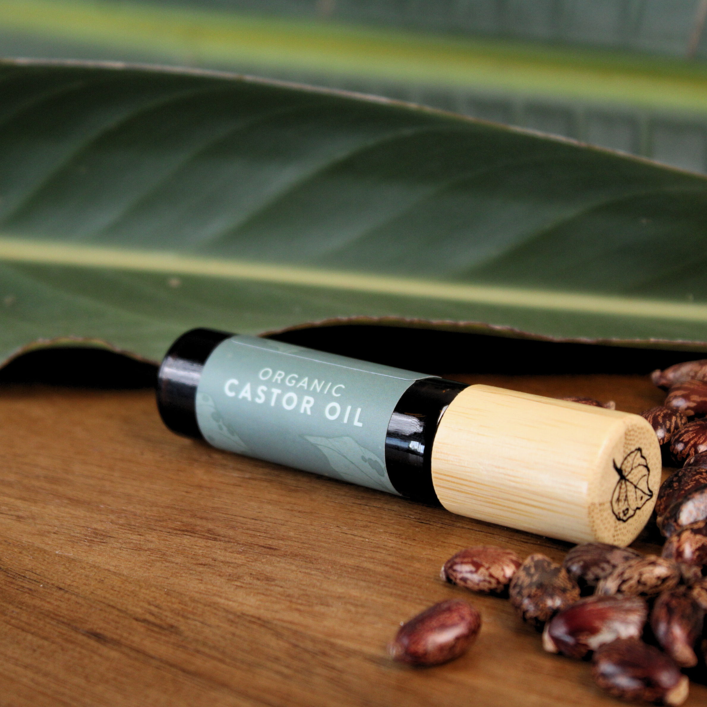 Organic castor oil bottle with wooden cap on a wooden surface with castor beans and green leaves.